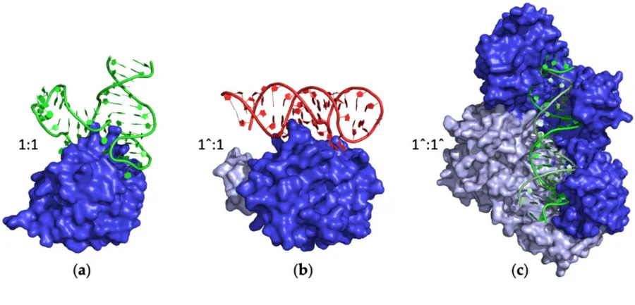 Aptamer Predictive Triage — generative and geometric deep learning for aptamer design