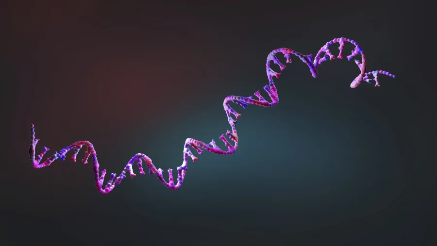 RNA secondary structure prediction with deep learning